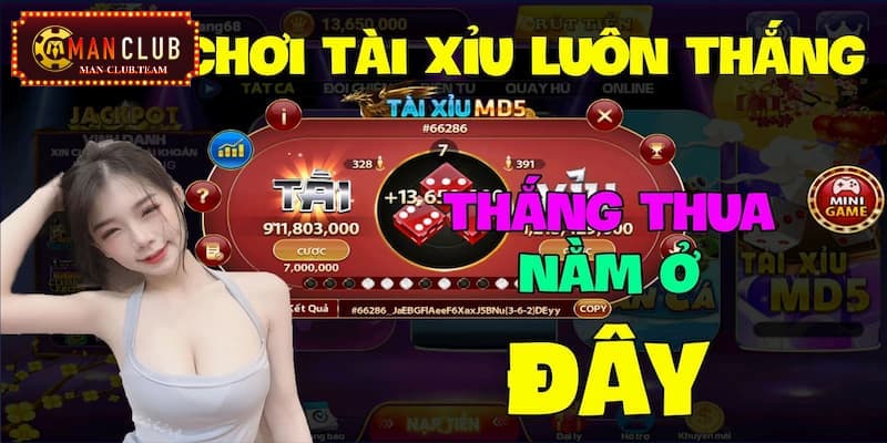 Bí quyết chơi tài xỉu online luôn thắng Một vài thông tin chính giới thiệu dòng game tài xỉu online